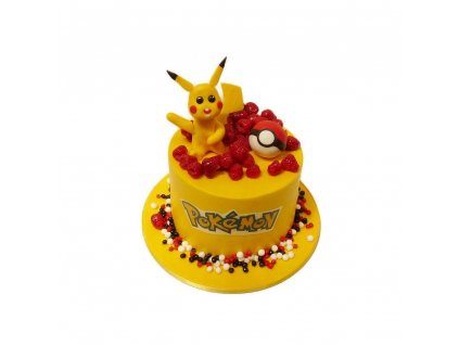 Dort s Pikachu pokémonem