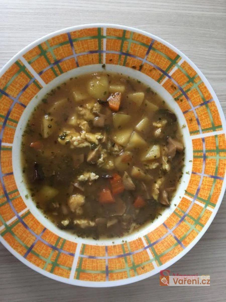 Hot traditional Czech potato soup with vegetables and eggs.