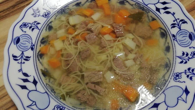 Hot Czech beef soup with noodles, vegetables and pieces of boiled beef.
