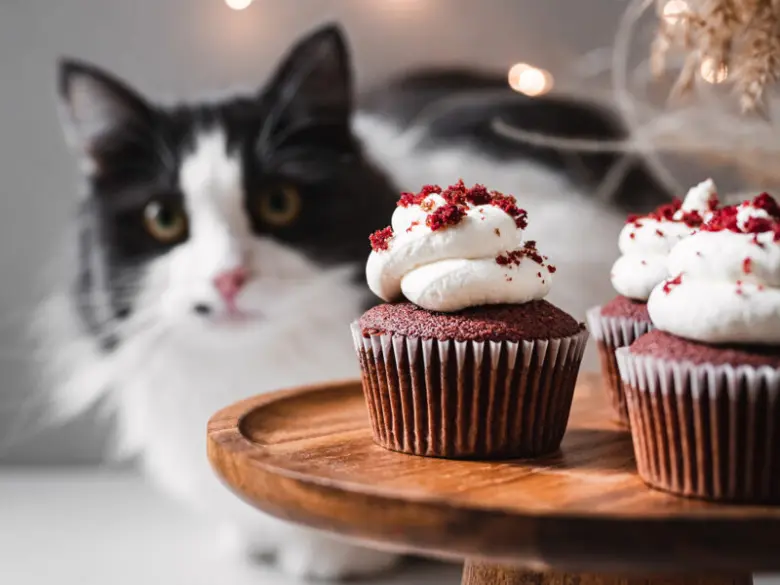 Tři muffiny s červenou omáčkou na dřevěném podstavci, kočka v pozadí.