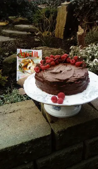 Chocolate cake with raspberries
