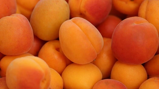Skládka čerstvých zralých meruněk s oranžovou kůží.