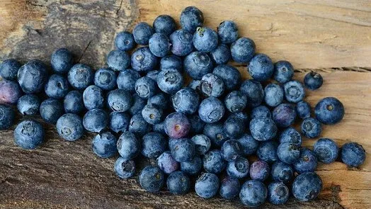 Čerstvé borůvky na dřevěném povrchu pro recept.