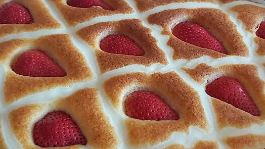 Zlatohnutý koláč s jahodami v pudinku na bílém krému.