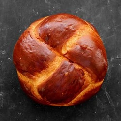Zlatohnědý mazánek s typickým pletem na tmavém podkladu.