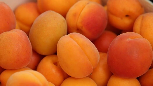 Skládka čerstvých zralých meruněk s oranžovou kůží.