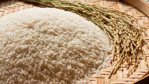White rice and stalks